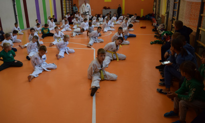 Taekwon-Do competition