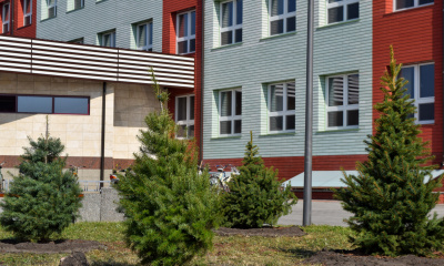 Висадження дерев на подвір'ї ліцею.